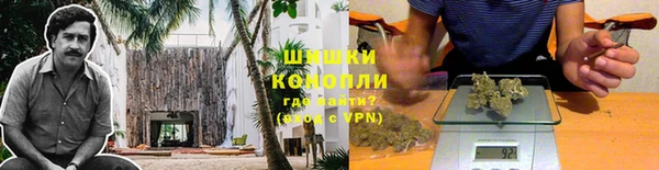 гидра Алзамай