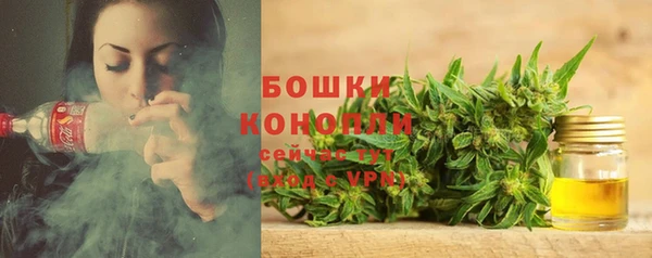 шишки Сафоново