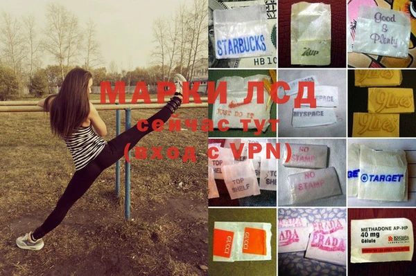 гидра Алзамай